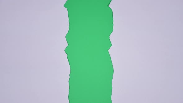 Torn Paper Transitions on Green Screen Background