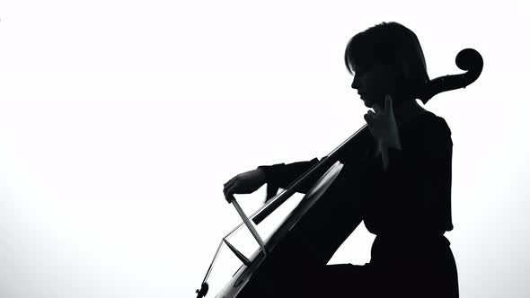Musician Playing the Cello. Silhouette