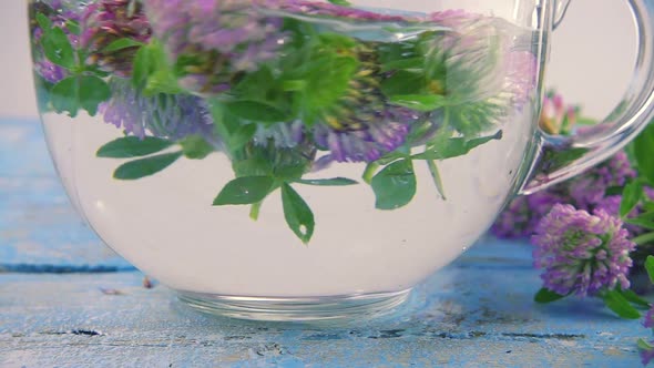 Brewing a tisanes from red clover in a transparent cup. Slow motion. alt