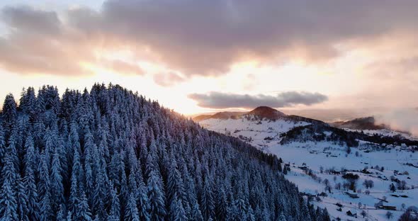 Drone Aerial Tree Mountain Snow Descend 4k - Fundata, Romania alt