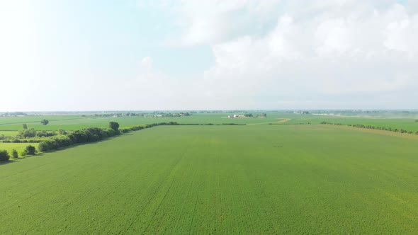 4K Aerial drone flying forwards towards a farmhouse over a cornfield alt