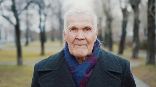 Portrait of grey-haired senior man looking at camera. 90 years old person.	 alt