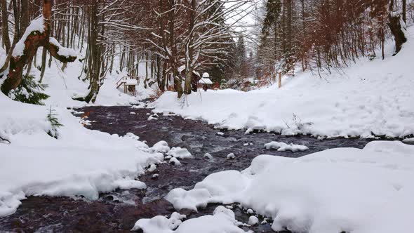 A Mountain Stream Flows Among Stones and Trees in the Carpathian Mountains alt