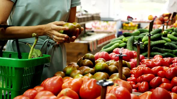 Woman with Shopping Basket Is Choosing Green Tomatoes in Grocery Store.