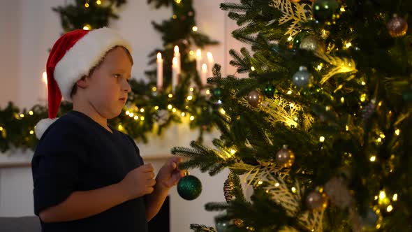 Cute Little Boy Decorating Christmas Tree at Home alt