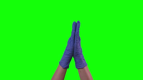 Doctors Female Hands in Blue Gloves Are Clapping, Green Screen alt