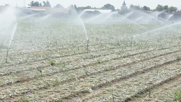 Watering Farming Fields