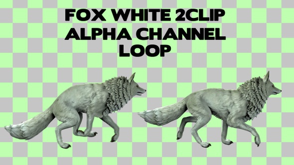 White Fox 2 Clip Alpha Loop