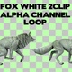 White Fox 2 Clip Alpha Loop - VideoHive Item for Sale
