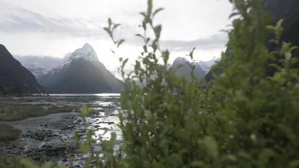 Slow motion reveal shot of Milford Sound, New Zealand, on a sunny afternoon alt
