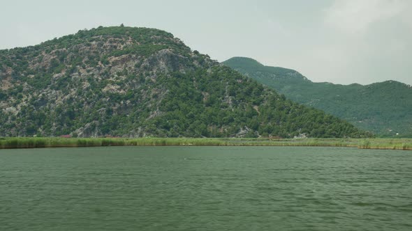 The Coastline Of The Green Island Of Dalyan alt