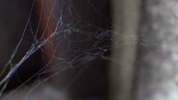 LOCKED OFF MACRO view of cobweb billowing indoors alt