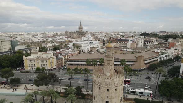 Tower of Gold or Torre del Oro and Cathedral in background, Seville in Spain