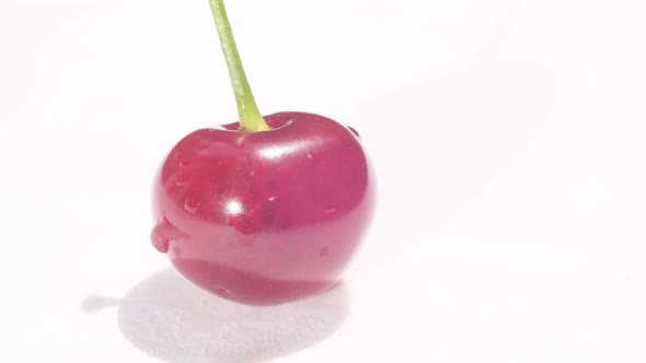 A Shot of a Red Cherry with a Root on a White Background alt