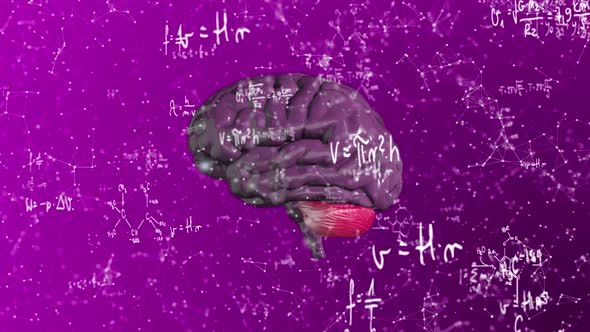 Purple Plexus Brain Formula