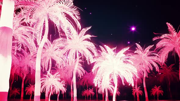 Glowing Pink Palm Trees Alley