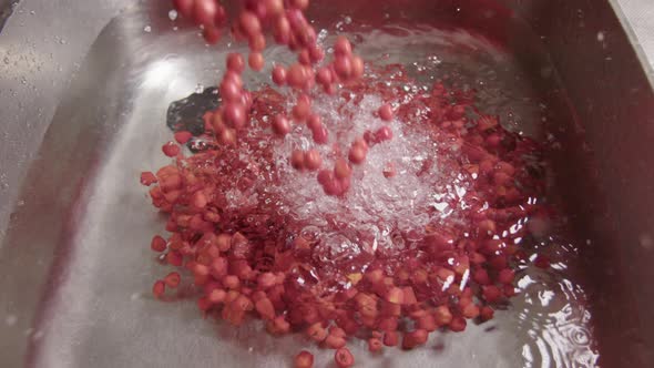 SLOW MOTION ZOOM OUT, foraged Rowan Berries are poured into sink to be washed alt
