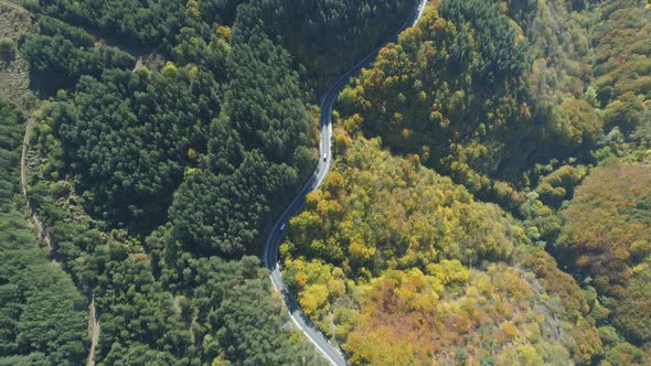 Top View of Two Transportation Vans, Trucks Driving Along Forest Road at Sunny Fall Day alt