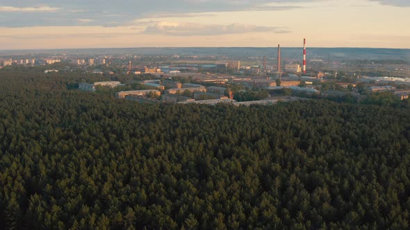 The city in a pine forest Industrial city in the forest Kansk town alt