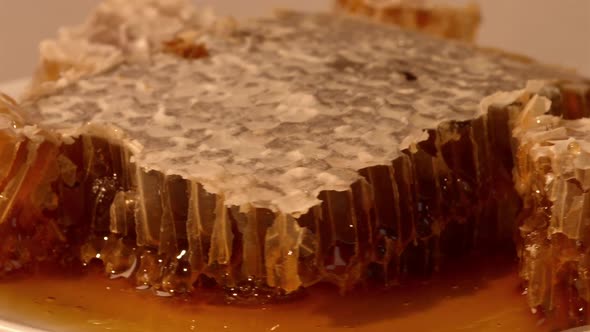 Honeycombs And Honey
