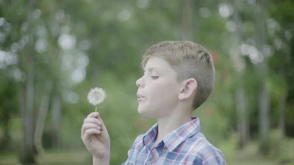 Boy blowing dandelion seedhead alt
