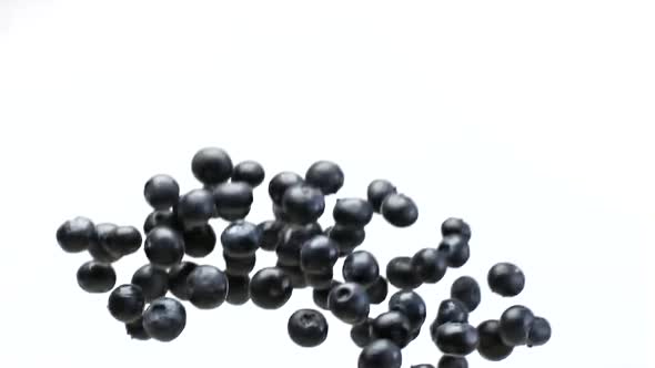 A Blueberries Falling in Slow Motion on a White Background
