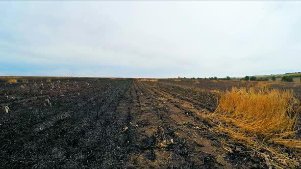 The Camera Moves on the Burnt Field
