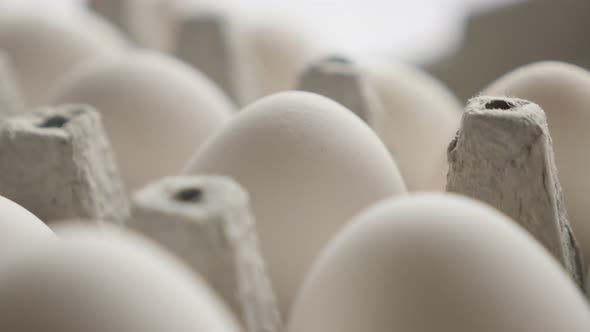 Tilting over hen eggs  close-up 4K footage alt