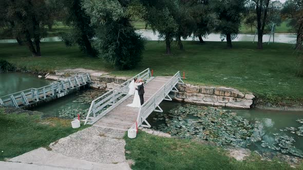 Newlyweds stand in embrace on a beautiful bridge over the river in a beautiful nature park