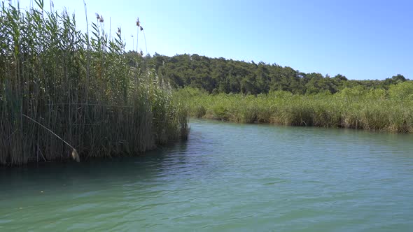 A River Surrounded By Reeds On A Flat Plain