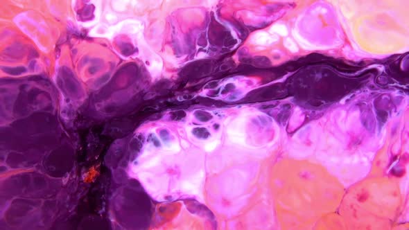 Vibrant Colours Paint Swirling Explosion 5 alt