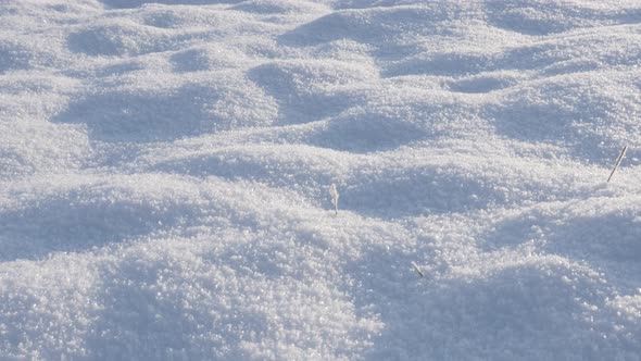 Tilting over  white snow dunes on the early morning close-up 4K 3840X2160 UHD video - Frozen crystal alt