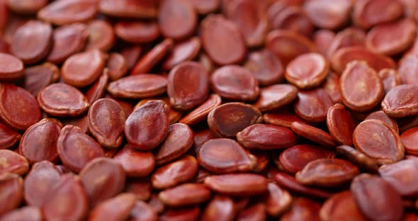 dry red melon seed for lunar new year alt