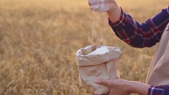Paper Bag With White Flour. Woman Standing In Field With Paper Bag Flour In One Hand, Pouring Wheat alt