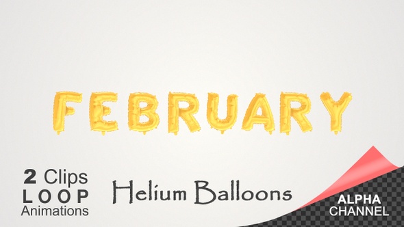 February Month Celebration Helium Balloons