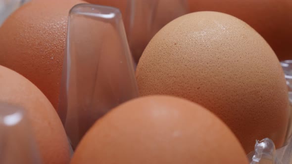 Fresh hen organic eggs in plastic box arranged in a row 4K 2160p 30fps UHD slow tilting footage - Eg alt