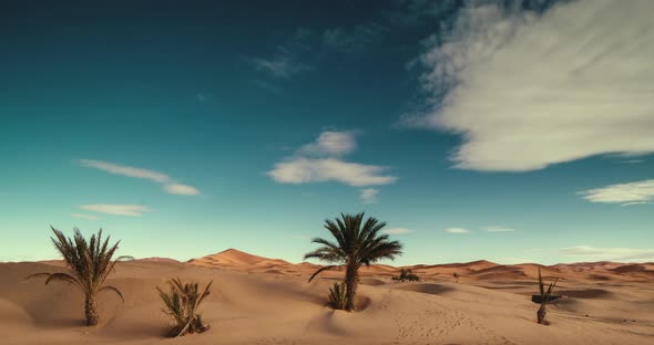 big dunes in the sahara desert morocco