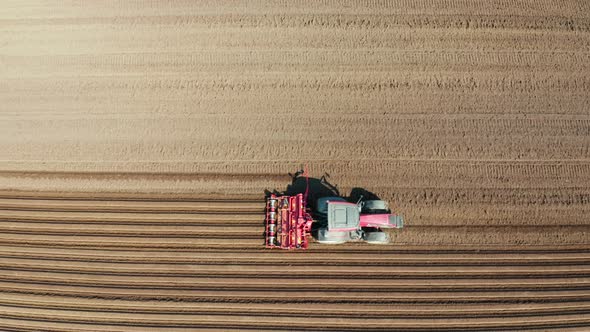 Tractor with Disc Harrows on the Farmland alt