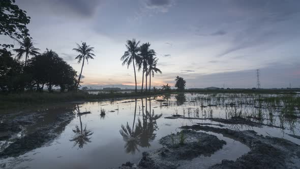 Timelapse day to night transition of muddy land  alt