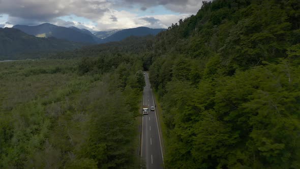 Aerial Road and Tall Forest, Puerto Varas, Chile, South America.