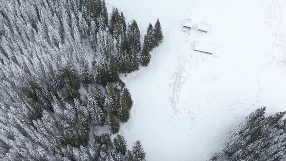 Aerial Flying over Mountain Winter Pine Forest Unveil Hut Cabin alt