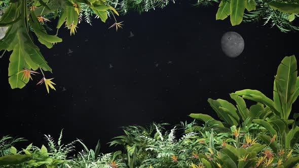 Night Among The Bushes alt