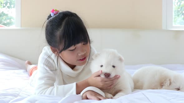 Cute Asian Girl Playing Siberian Husky Puppy On White Bed alt