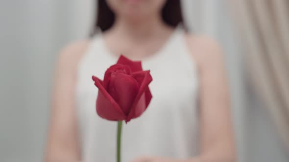 Woman holding flower, single red roses in hand in front of herself