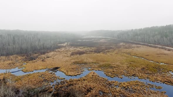 Drone circles over the river in dead forest under a thick fog in McGillivray Falls, Manitoba, Canada alt