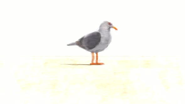 Seagull Stop Motion