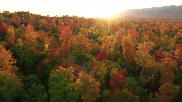 Aerial Fall Foliage Forest on Mountains Golden Sunset Rays on Red Orange Trees alt