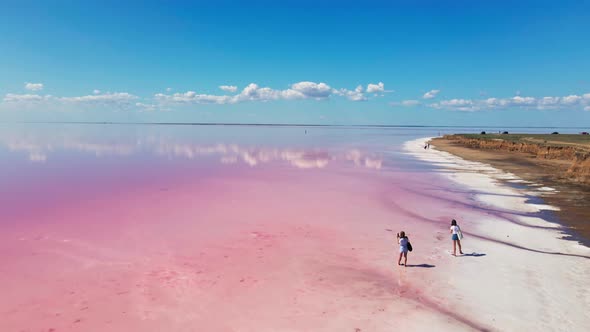 Aerial View Beautiful Amazing Lake with Dry Salt Coast and Pink Water alt