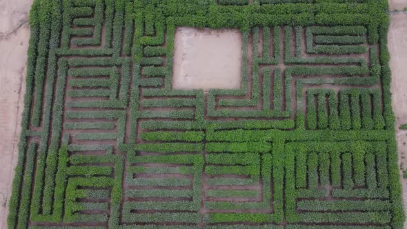 Drone video of a green tree maze in Lima, Peru. Shot while slowly tilting camera up. alt
