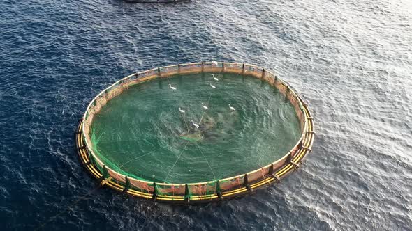 Sea fish farm. Cages for fish farming in mediterranean sea